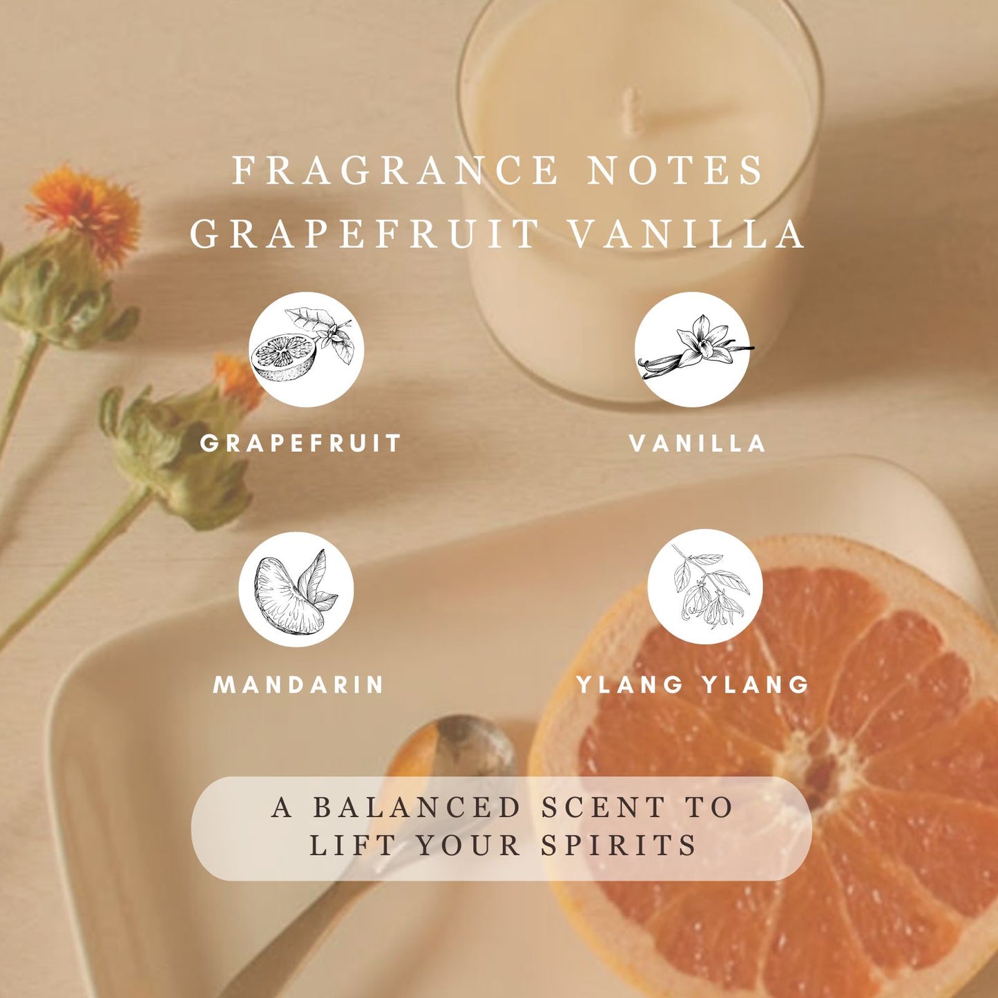 Grapefruit Vanilla