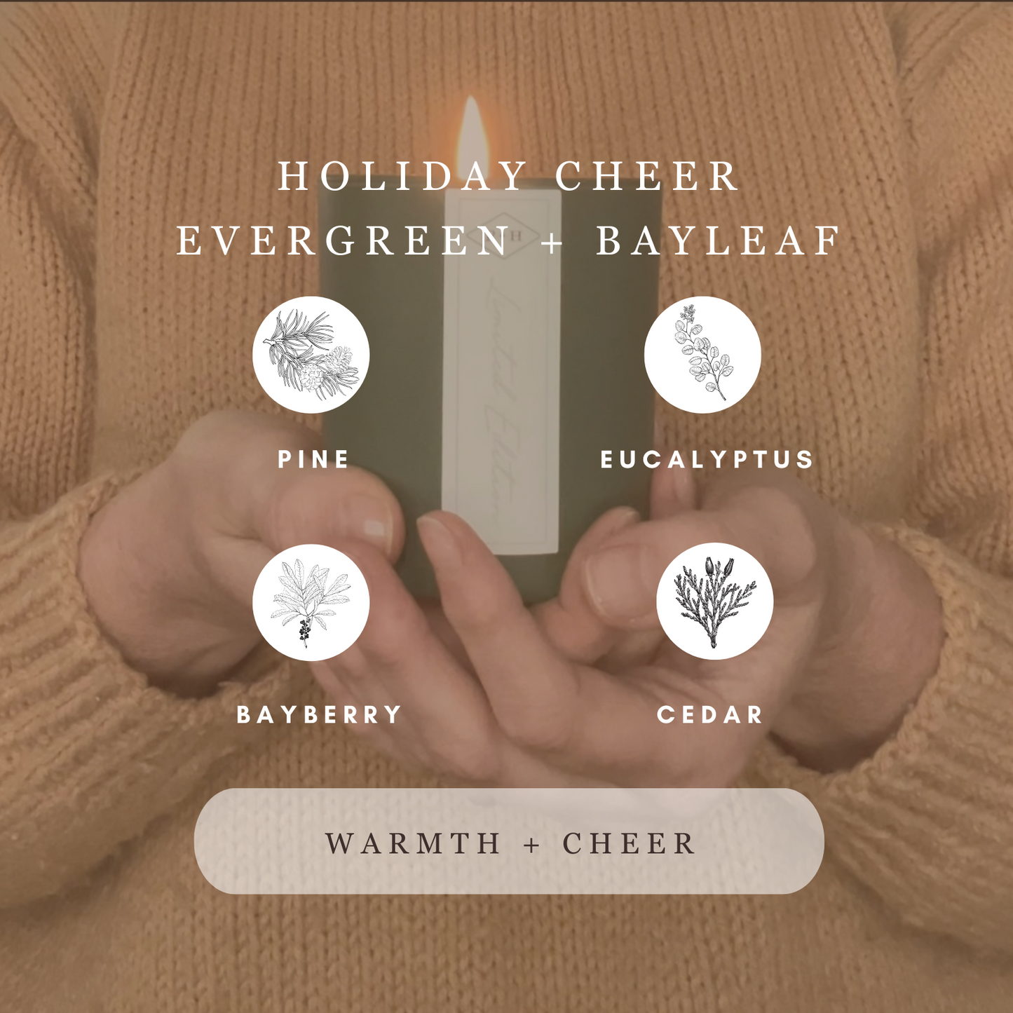 Holiday Cheer Candle in Evergreen + Bay Leaf