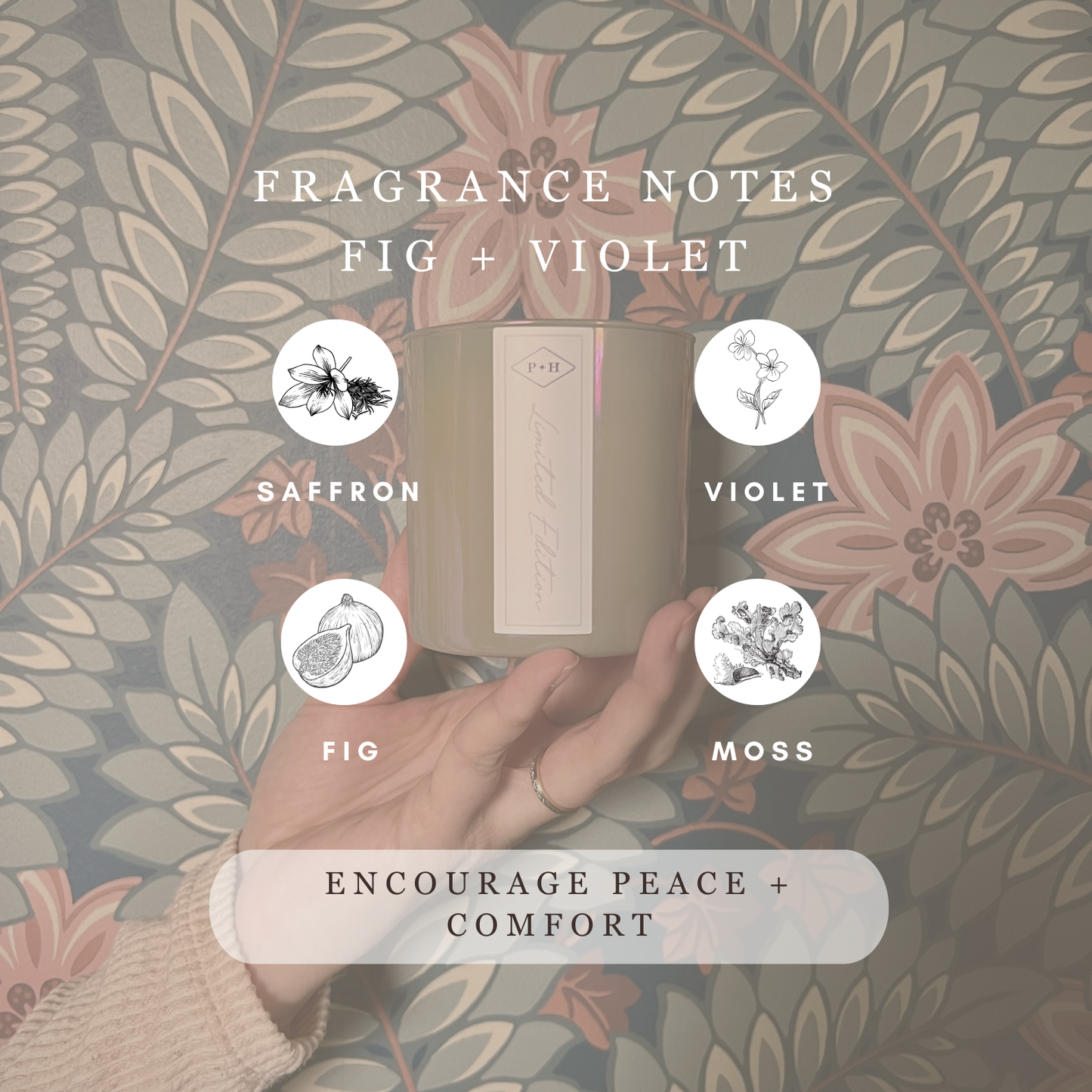 Limited Edition - Fig + Violet