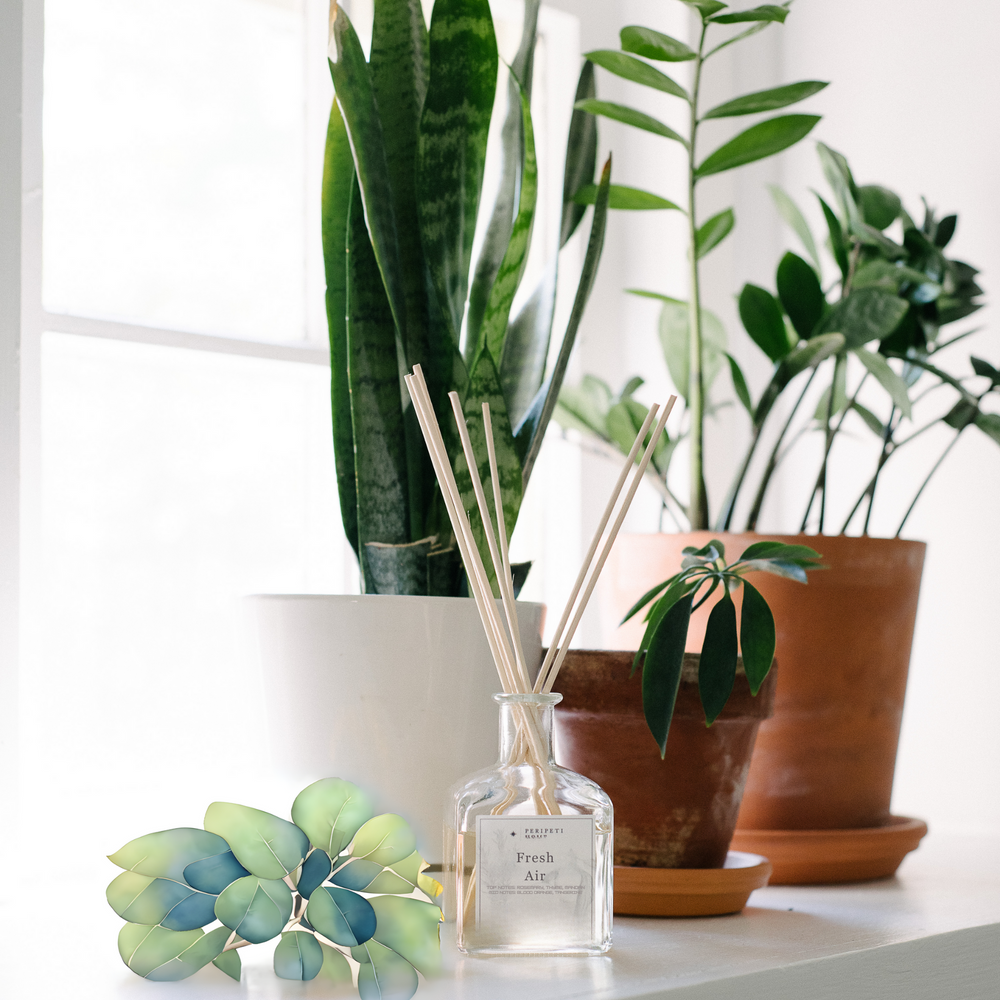
                      
                        Reed Diffuser
                      
                    