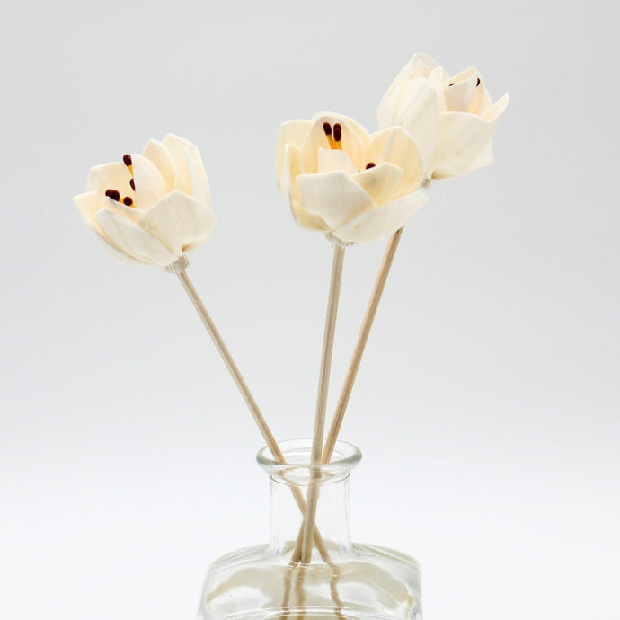 Flower Reeds for Reed Diffuser
