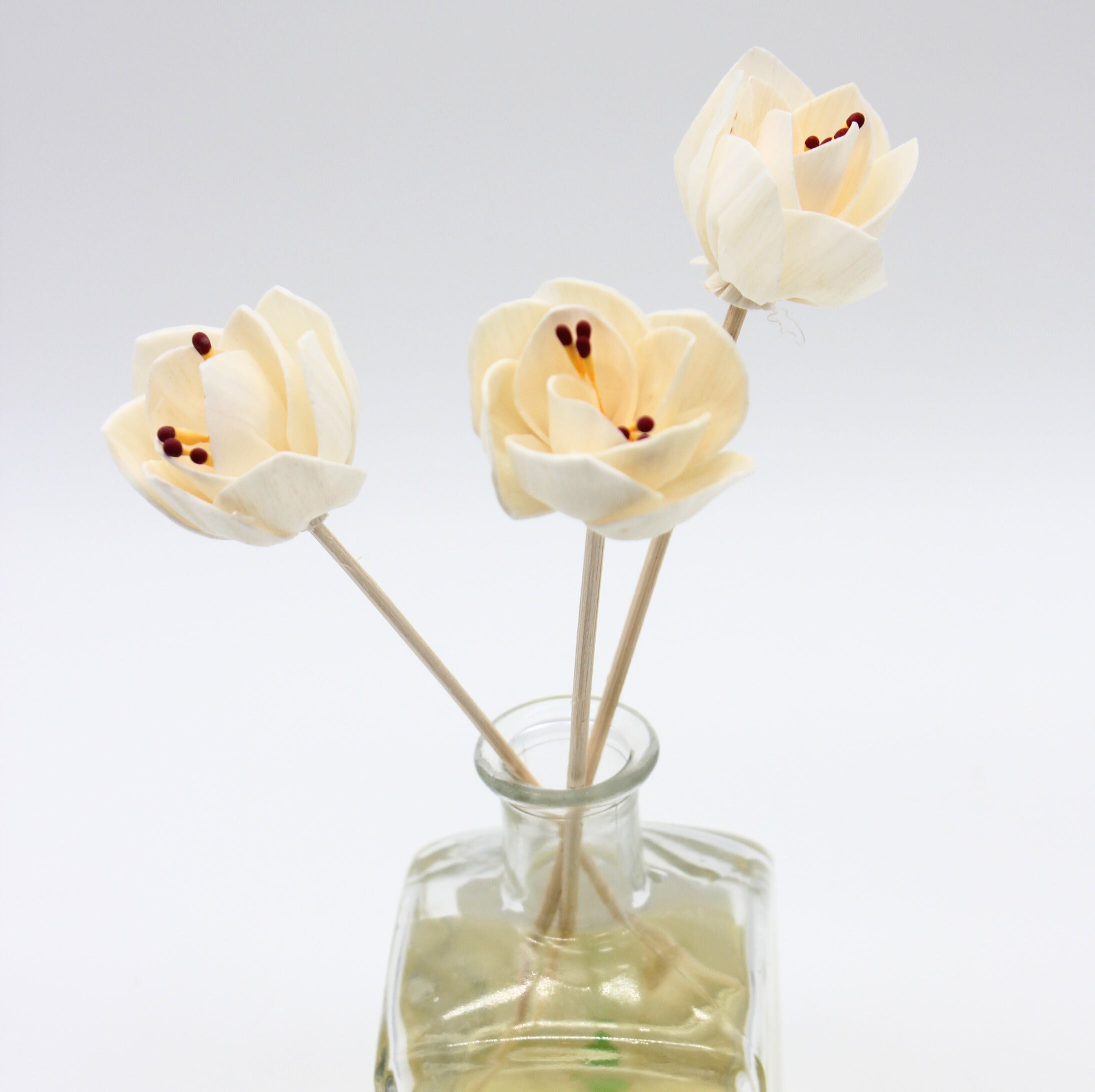 Flower Reeds for Reed Diffuser – Peripeti Home