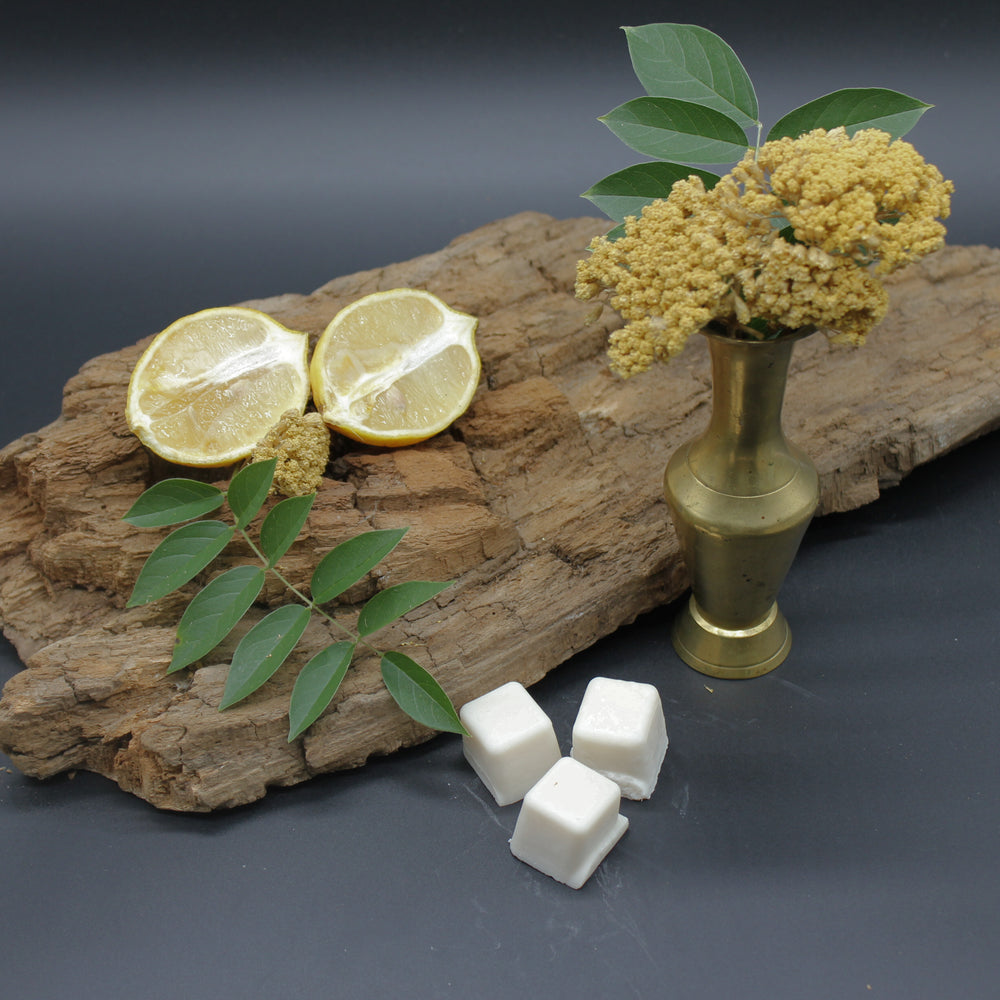 
                      
                        Bergamot, Cedar + Oak (Seasonal)
                      
                    