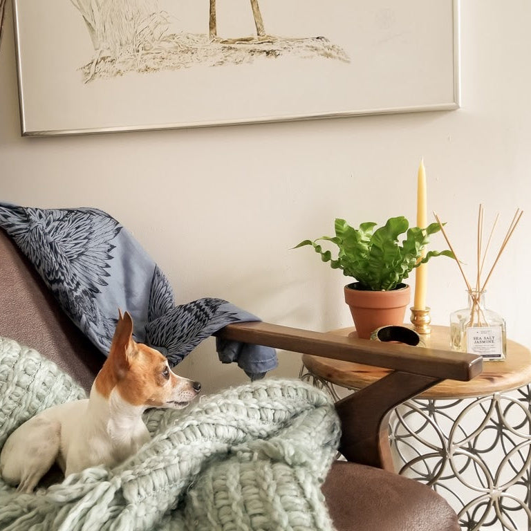 
                      
                        The Pet Home
                      
                    