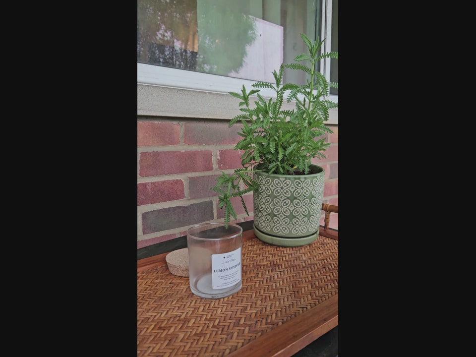 
                      
                        Load and play video in Gallery viewer, Soy Candle Refill Insert
                      
                    